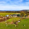 Aerial view of Newton Farm