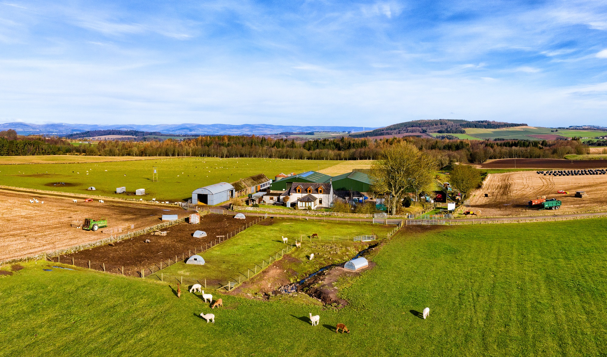Aerial view of Newton Farm