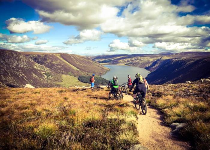 Angus Cycle Hub - bike hire and guided biking tours around Angus