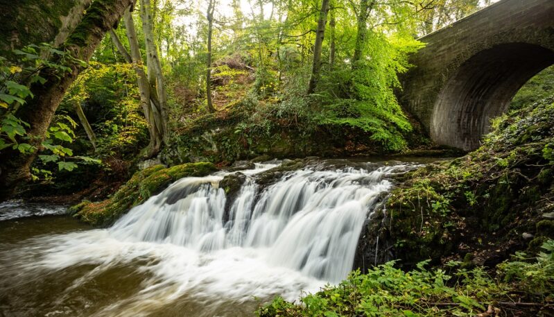 Arbirlot Falls, near Arbroath