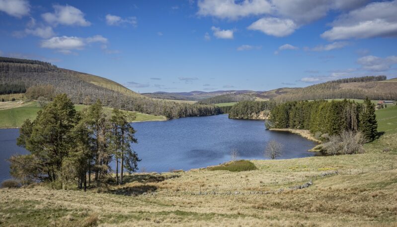 Backwater Reservoir, near Kirriemuir