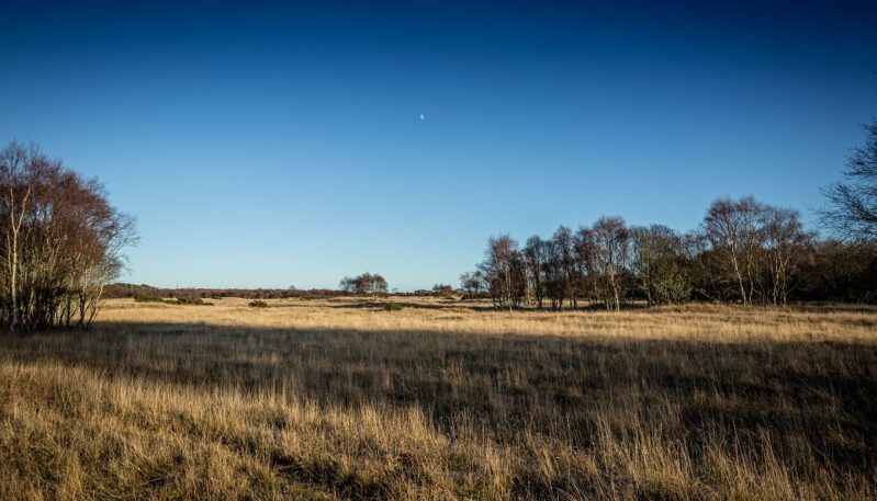 Barry Buddon, near Carnoustie