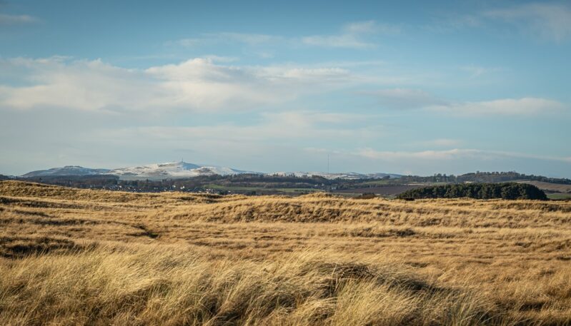 Barry Buddon, near Carnoustie
