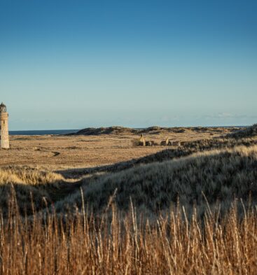 Barry Buddon, near Carnoustie