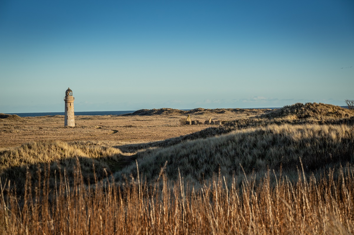 Barry Buddon, near Carnoustie