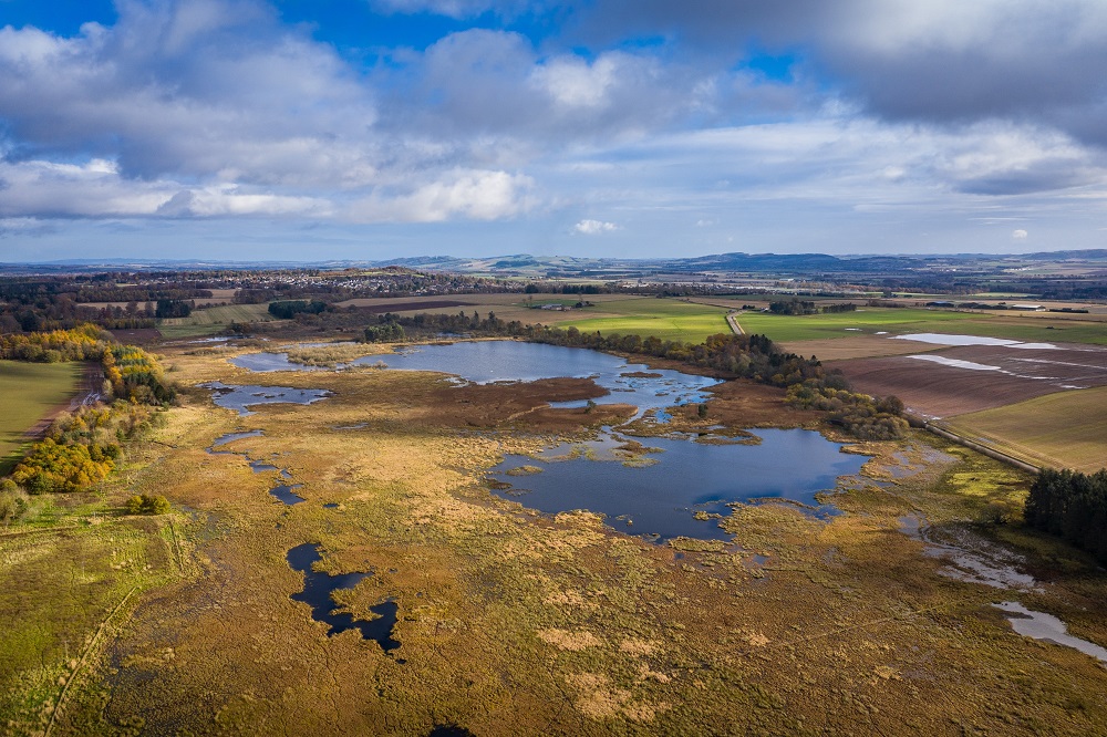 Caddam Woods and Loch of Kinnordy Biking Route