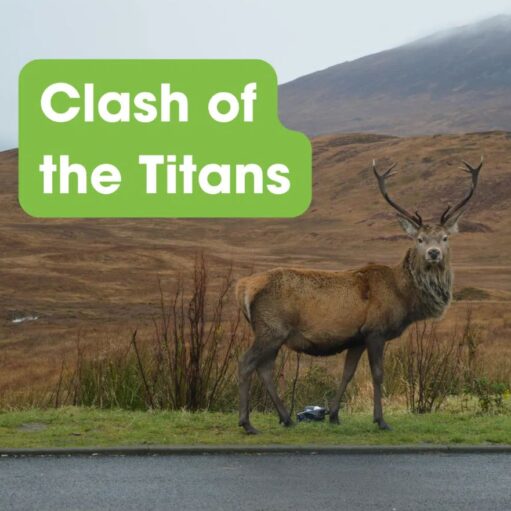 Clash of the Titans red deer hike with ANGUSalive