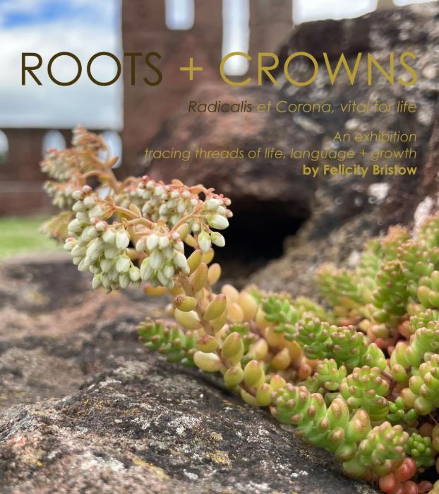 Felicity Bristow : Roots + Crowns exhibition at Arbroath Signal Tower Museum