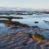 Carnoustie Bay