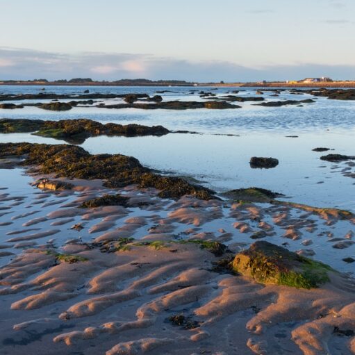 Carnoustie Bay