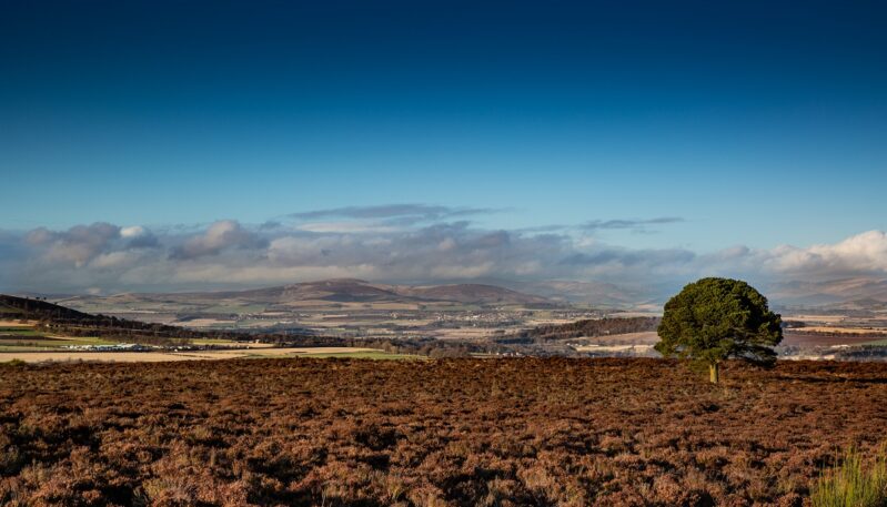 Carrot Hill, near Forfar