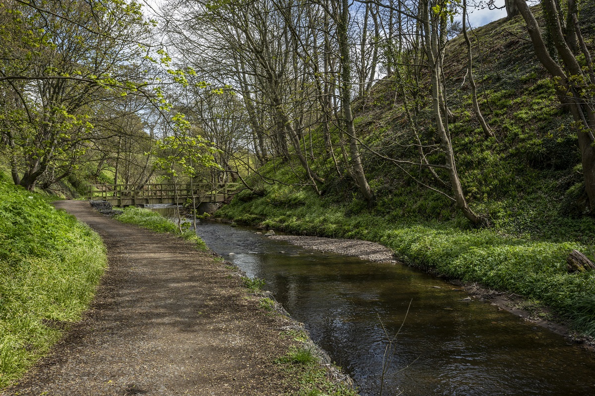Craigmill Den, Carnoustie