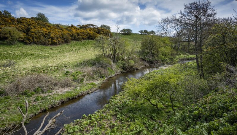 Craigmill Den, Carnoustie