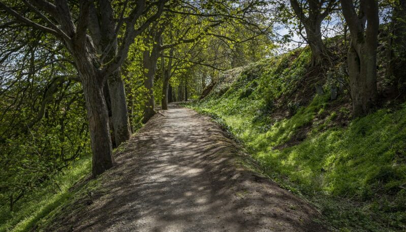 Craigmill Den, Carnoustie