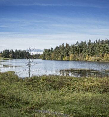 Crombie Country Park Walking Route