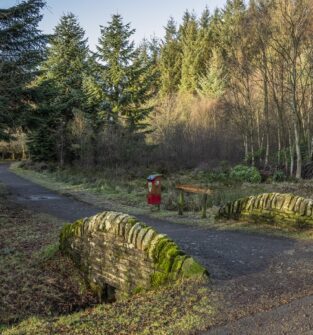 Crombie Country Park, near Monifieth