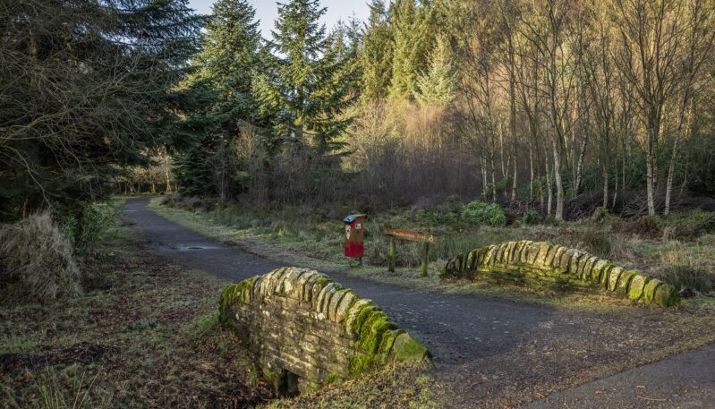 Crombie Country Park, near Monifieth