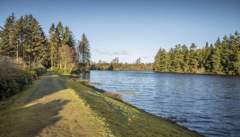 Crombie Country Park, near Monifieth