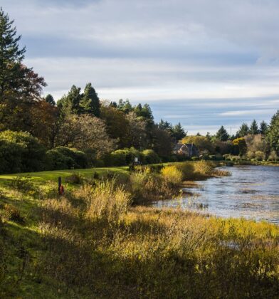 Crombie Country Park, near Monifieth