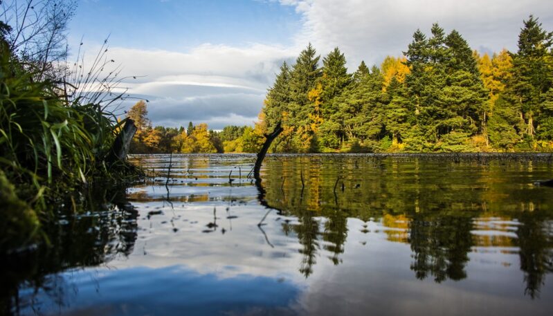 Crombie Country Park, near Monifieth