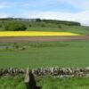 Dunnichen Battle Site and Cairn, near Forfar
