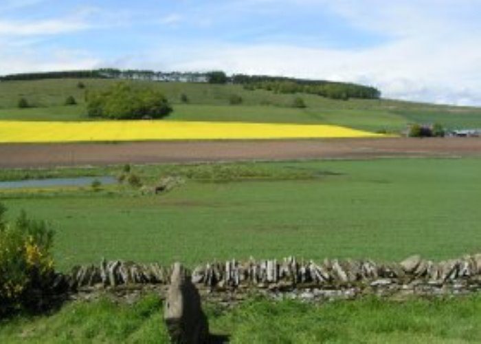 Dunnichen Battle Site and Cairn, near Forfar