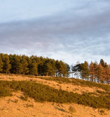 Dunnichen Hill, near Forfar
