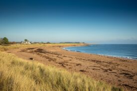 East Haven Beach, near Arbroath