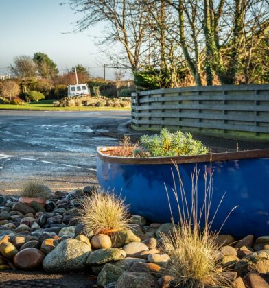 East Haven, near Arbroath
