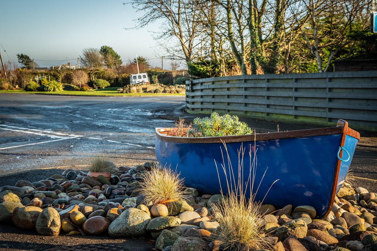 East Haven, near Arbroath