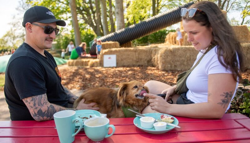 East Scryne Fruit Playpark