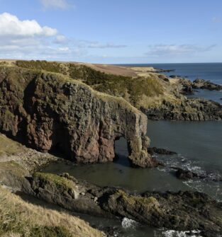 Elephant Rock, Montrose