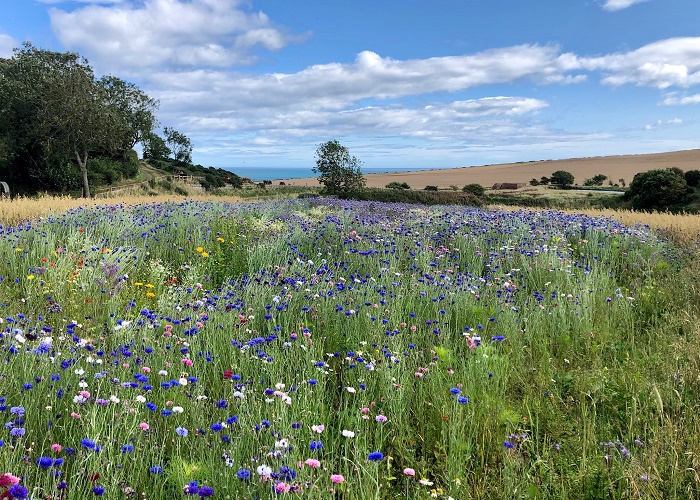 Ethie Mains - Self Catering Accommodation near Arbroath