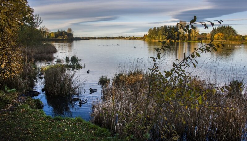 Forfar Loch Country Park