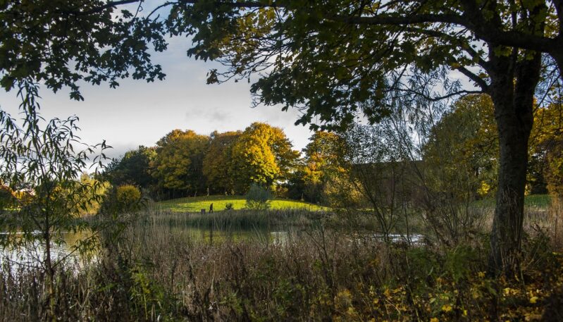 Forfar Loch Country Park
