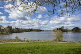 Forfar Loch Country Park