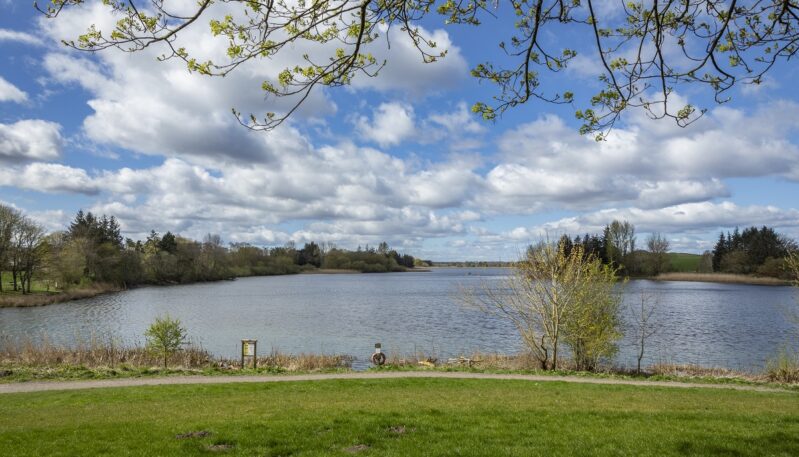 Forfar Loch Country Park