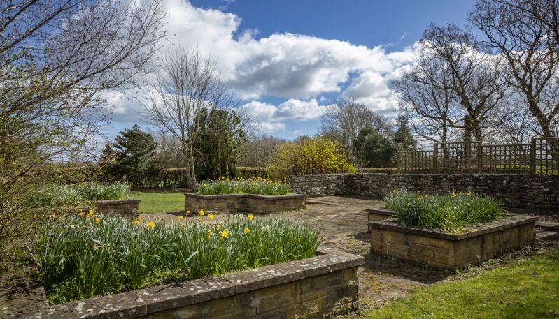 Friockheim Park, near Arbroath