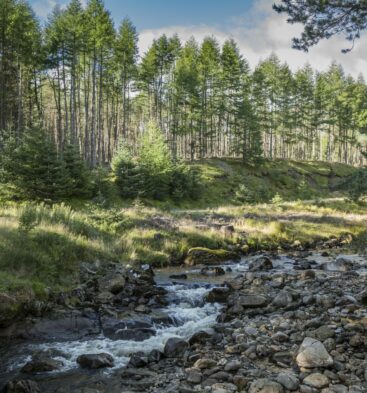 Glen Doll, The Angus Glens, Scotland