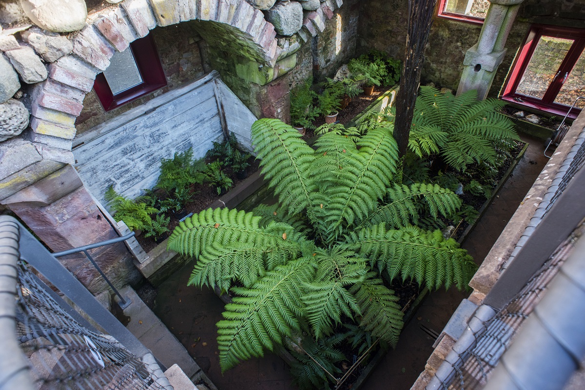 Hospitalfield House fernery, Arbroath