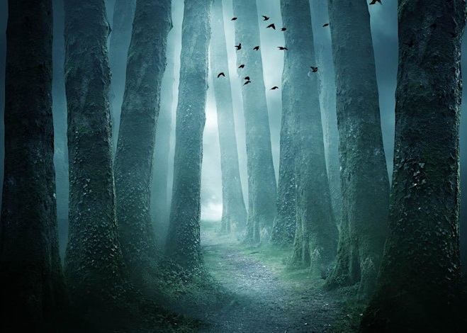 A digitally enhanced, atmospheric image of a dark and misty forest. A narrow path winds between tall, mossy trees, leading toward a bright, foggy light in the distance. A flock of dark birds flies above the path, and a faint blue glow illuminates the fog. The overall mood is mysterious and serene.