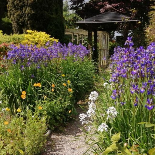 Scotland’s Gardens Scheme – Orchard Cottage
