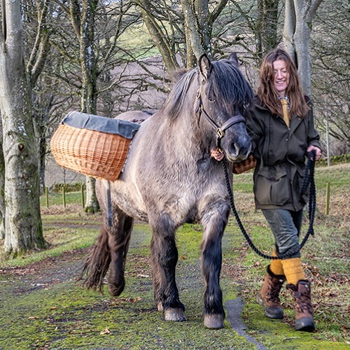 Kinclune Farm Experiences, near Kirriemuir