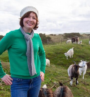 Lunan Bay Farm – Scottish Cashmere Goats