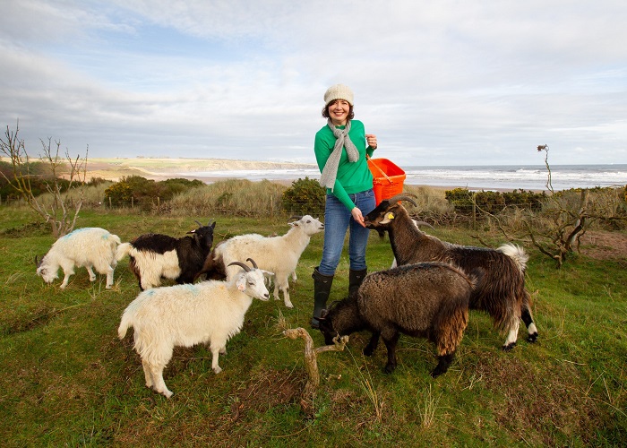 Lunan Bay Farm Scottish Cashmere Experience