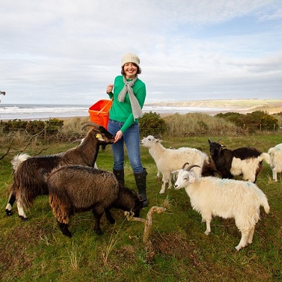 Lunan Bay Farm – Scottish Cashmere Experience