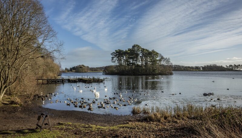 Monikie Country Park