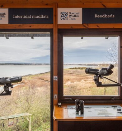 Montrose Basin Visitor Centre