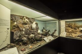 Montrose Museum and Art Gallery