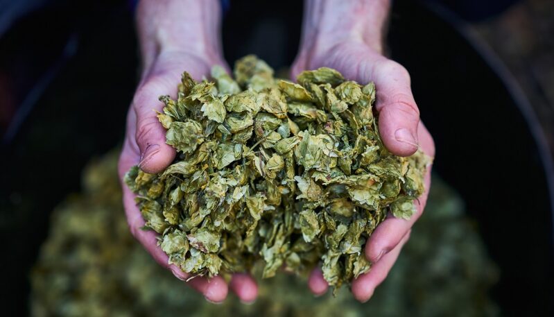 MòR Beers, near Monifieth